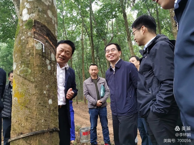 13KN針刺擠壓一體機 13KN針刺擠壓一體機