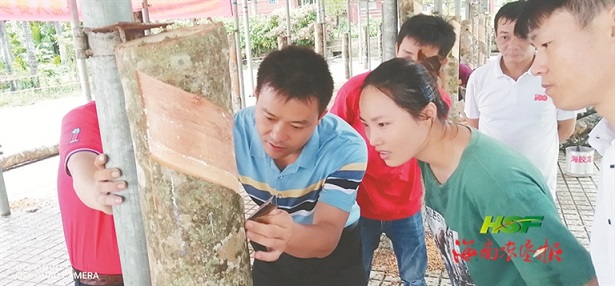 單層恒溫恒濕箱